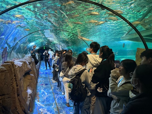 微信图片_20260407135822_1138_5.jpg