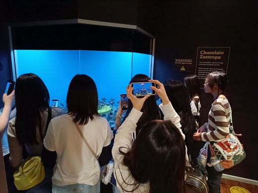 微信图片_20260323201440_111_449.jpg